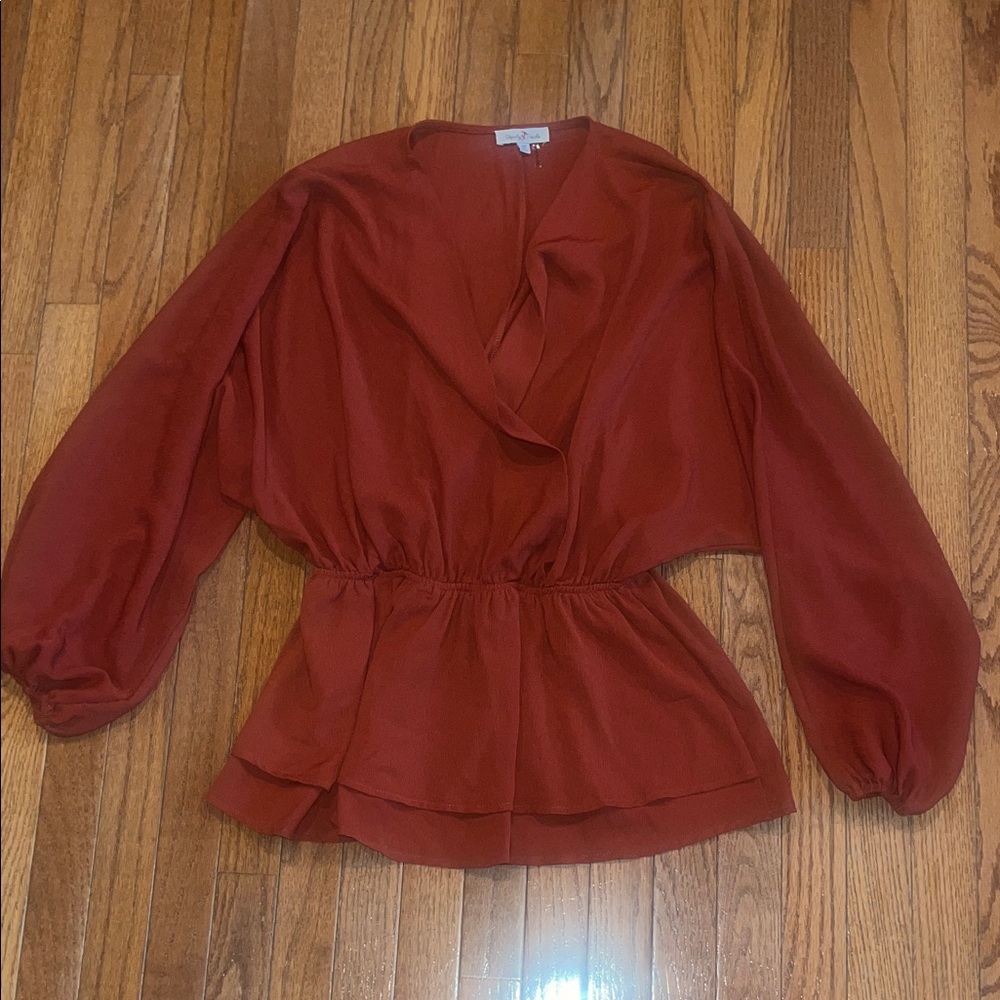 Elegant Rust Blouse with Billowy Sleeves